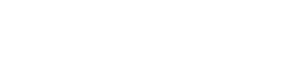 Lotus USA Inc.